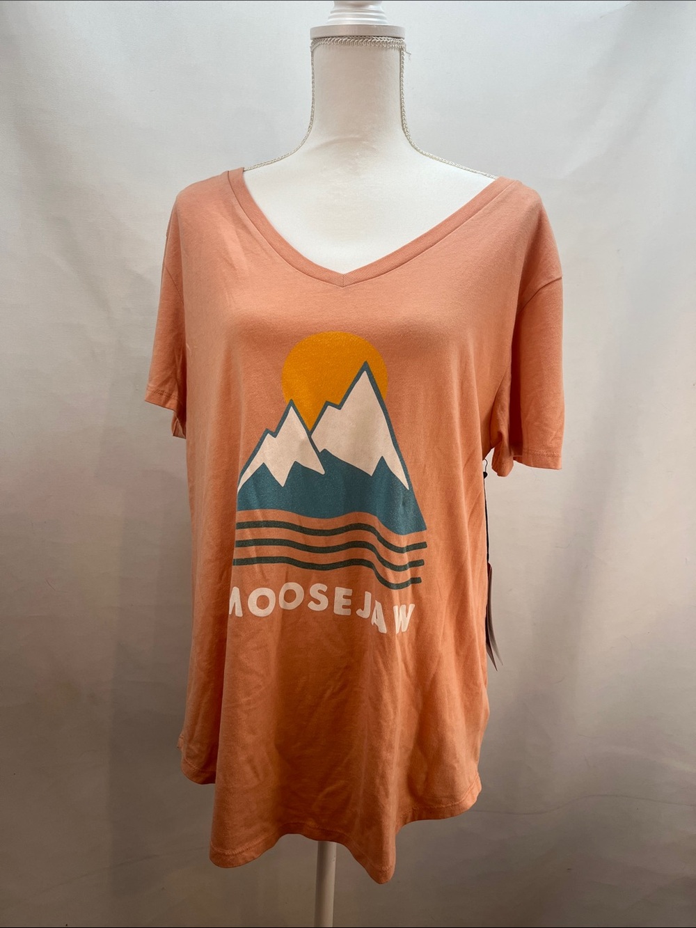 Moosejaw Women's Iceberg Salad Flowy V-Neck Mountain Graphic Tee NWT Peach